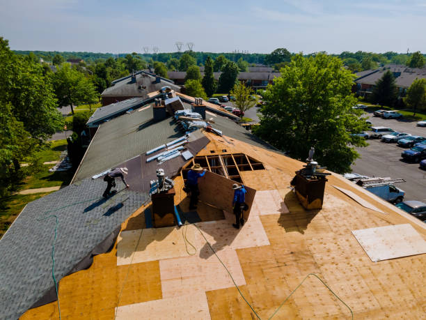 Best Metal Roofing Contractor  in Stanleytown, VA
