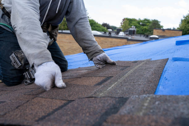 Best Local Roofing Companies  in Stanleytown, VA